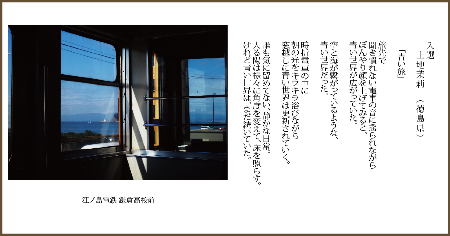 フォトコンテスト